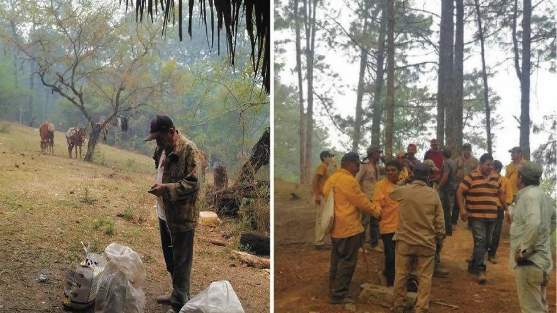 Don Máximo ayuda con sus caballos a subir víveres para combatir el incendio en El Cielo